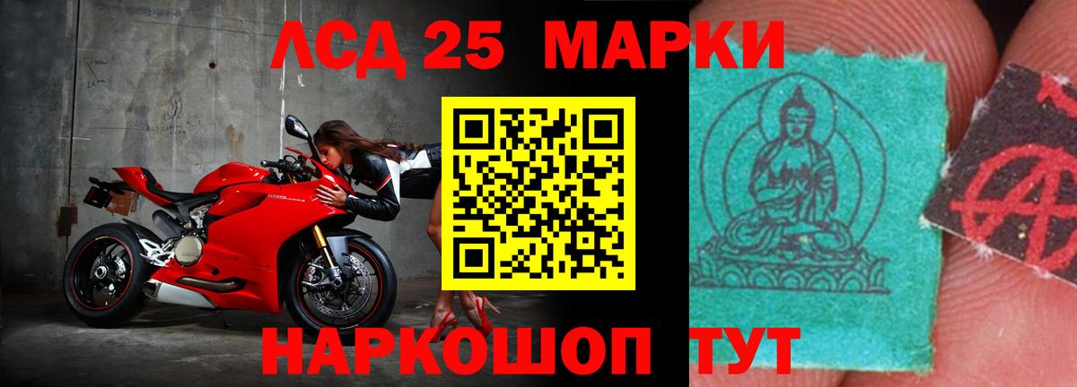 Пугачёв      Вход с VPN  ЛСД экстази кислота  LSD-25 экстази ecstasy 