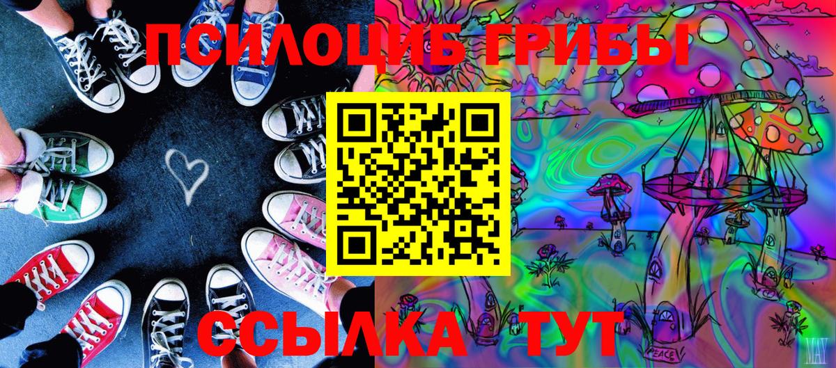 Псилоцибиновые грибы мухоморы  Вход с VPN  Пугачёв  где купить   Галлюциногенные грибы Cubensis 
